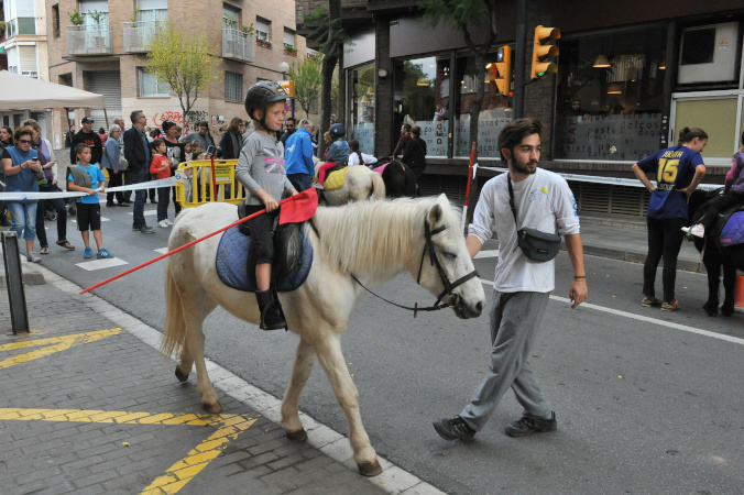 Festes de Tardor 2015