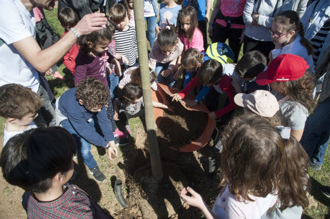 Plantada d'arbres camí de la Muntanya