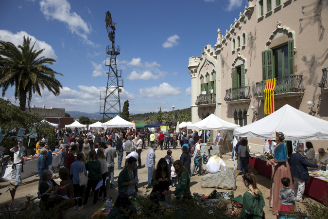 Sant Jordi 2015