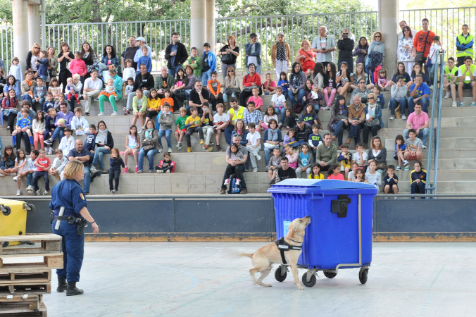 Festa Esport 2013