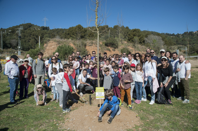 Plantada d'arbres camí de la Muntanya