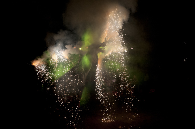 Festes de Tardor 2017