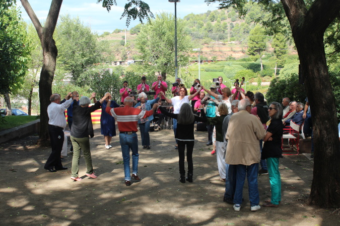 Diada Nacional de Catalunya 2019