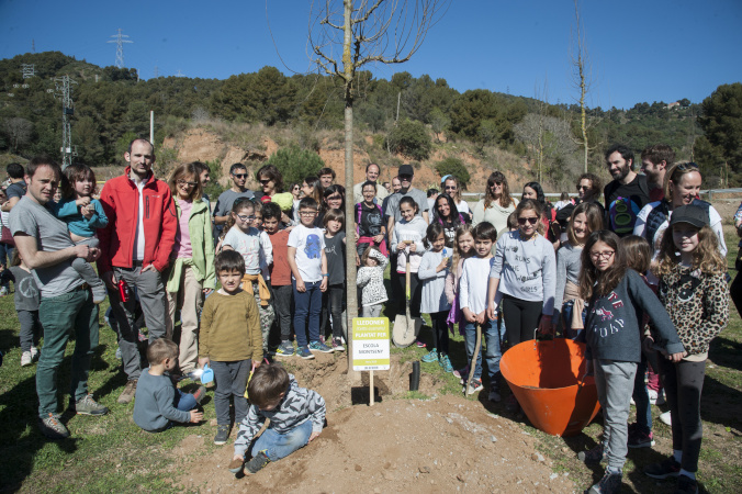 Plantada d'arbres camí de la Muntanya