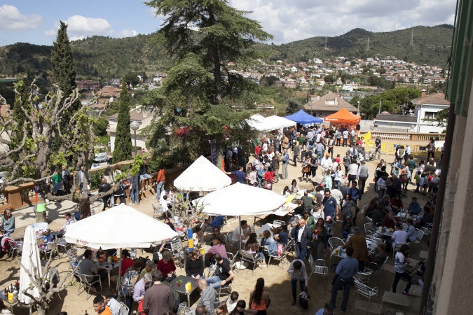 Sant Jordi 2015