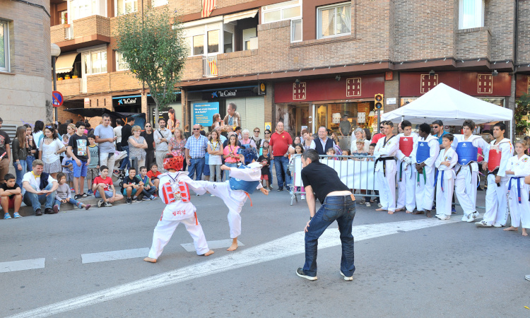 Festes de Tardor 2013