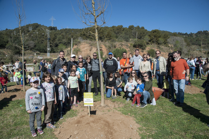 Plantada d'arbres camí de la Muntanya