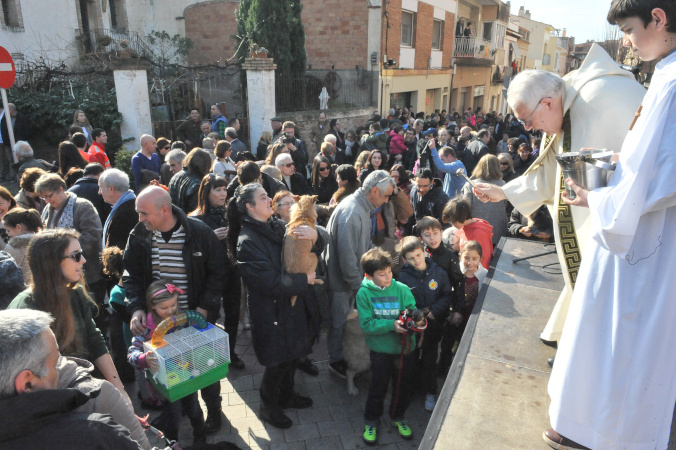 TRES TOMBS 2014