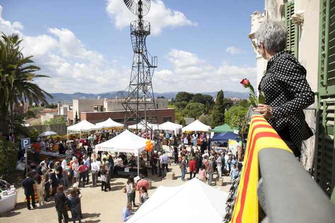 Sant Jordi 2015