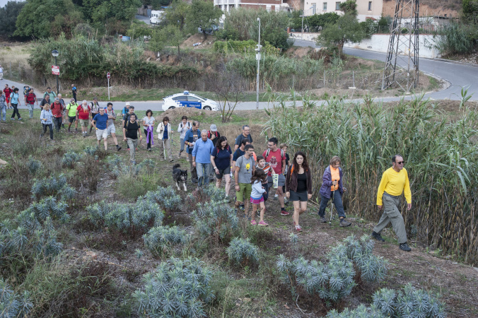 20a Caminada de la SEAS 2016