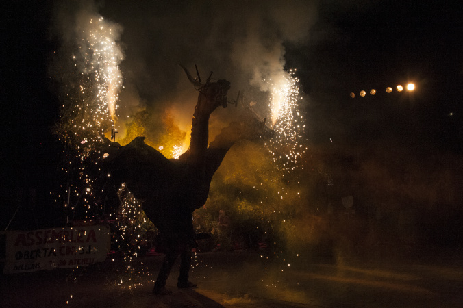 Festes de Tardor 2017