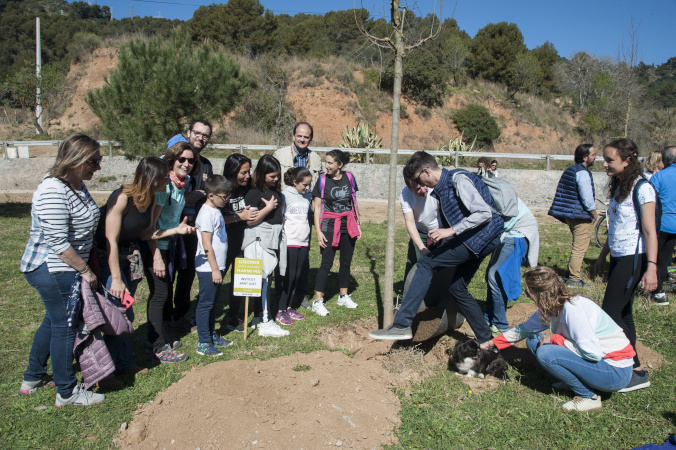 Plantada d'arbres camí de la Muntanya